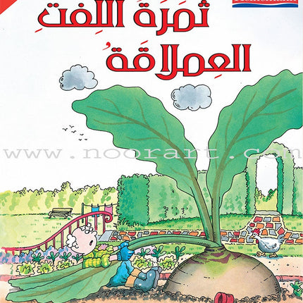 The Useful Reading Series: Level 1 (Set of 4 Books) سلسلة المطالعة المفيدة: المستوى الأول