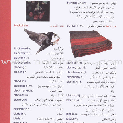 Modern Students' Dictionary English-Arabic معجم الطلاب الحديث
