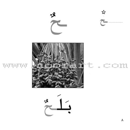 Ladder Reading Stories Box (28 Alphabets) قصص سلم القراءة داخل علبة