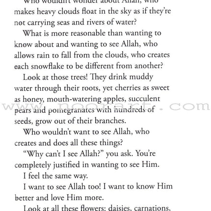 I Wonder About Allah: Book One