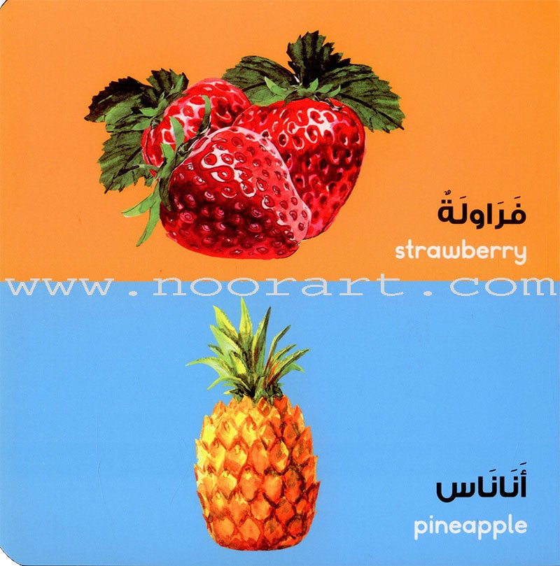 Arabic Words Board Book