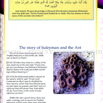 Learning Islam Textbook: Level 2 (7th Grade)