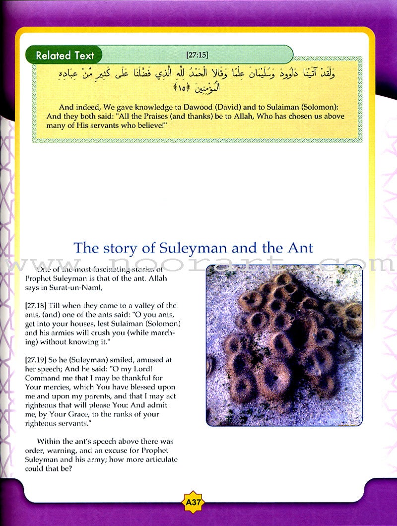 Learning Islam Textbook: Level 2 (7th Grade)