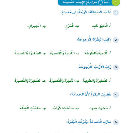Arabic Sanabel Online Platform Package: Level 4