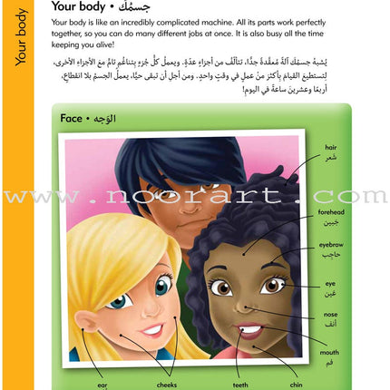 Oxford Children's Visual Dictionary English - Arabic قاموس اكسفورد البصري للاطفال