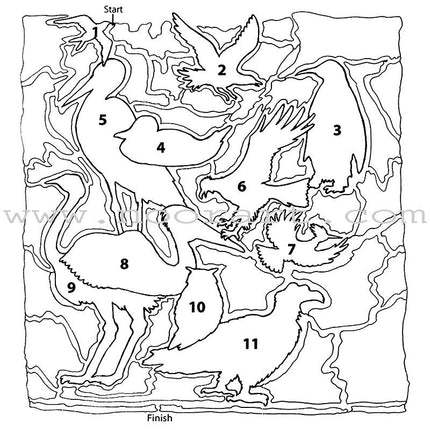Qur'an Story Mazes (5 Books)