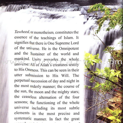 A Glimpse at the Beauty of Islam