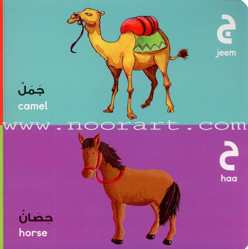 Arabic Alphabet Board Book