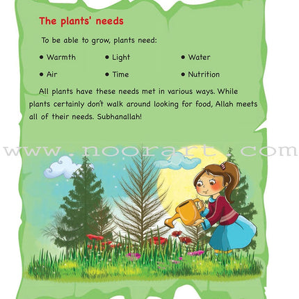 Everything Points to Allah - The Colorful World of Plants