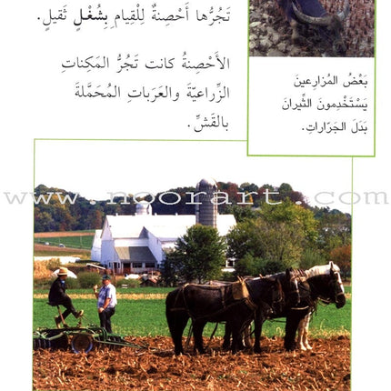 Science Basics: Level 2 (3 Books) أساسيات العلوم