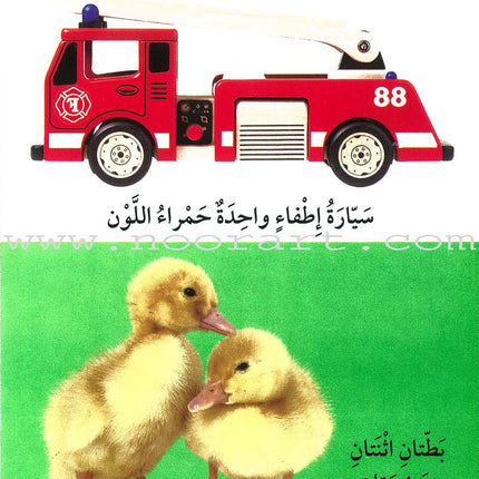 First 100 Illustrated Words About Numbers