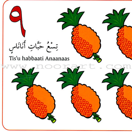 My Arabic Number Book