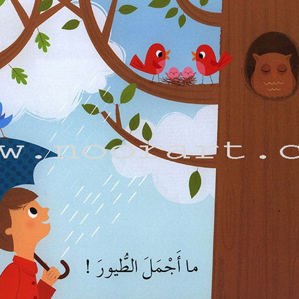 Learning Reading - Group 1 (12 Books, with Audio CD) تعلم القراءة