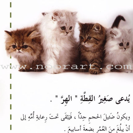 Useful Reading Series - Animals' Babies - Level A1 القراءة المفيدة - صغار الحيوانات