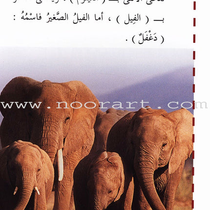 Useful Reading Series - Elephants - Level A2