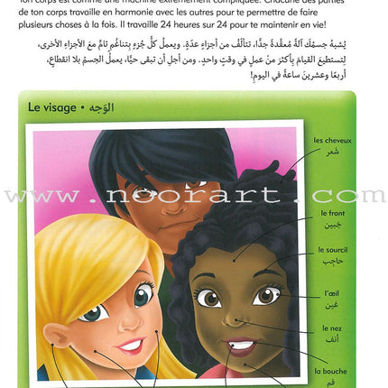 Oxford Children's Visual Dictionary French - Arabic قاموس اكسفورد البصري للاطفال