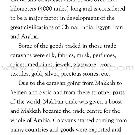 My First Prophet Muhammad Storybook (Hardcover)