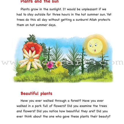 Everything Points to Allah - The Colorful World of Plants