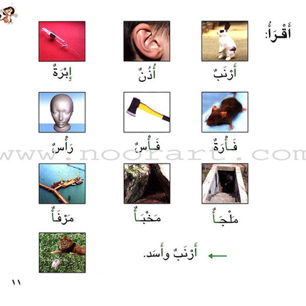 Ladder Reading Stories Box (28 Alphabets) قصص سلم القراءة داخل علبة