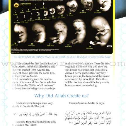 Learning Islam Textbook: Level 1 (6th Grade)