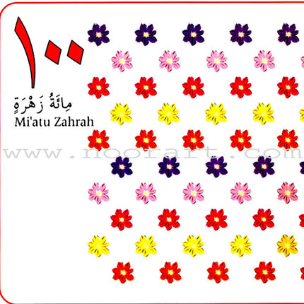 My Arabic Number Book