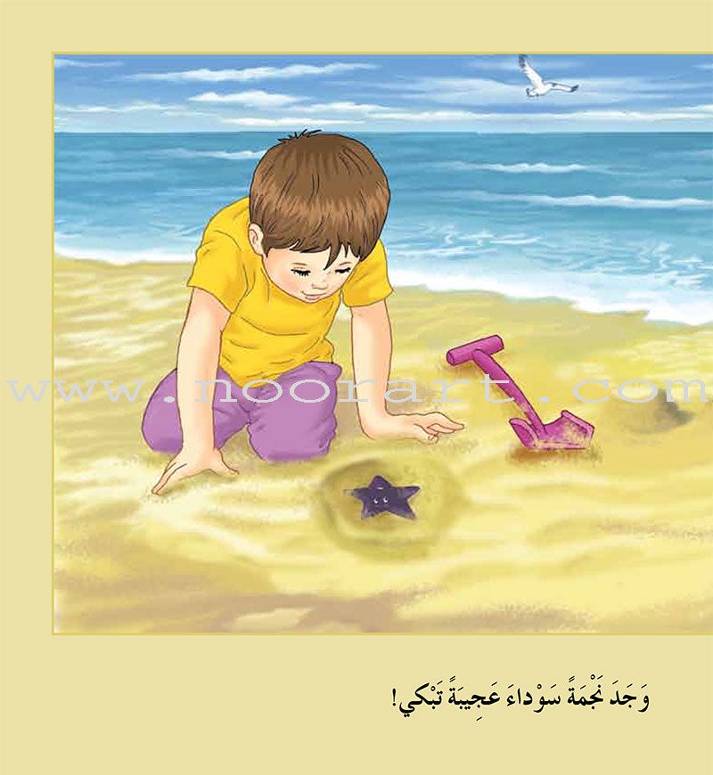 Contemplate With Anoos Stories - Love Series - Level 2 (8 Books, with Audio CD) منهاج تفكر مع أنوس سلسلة الحب
