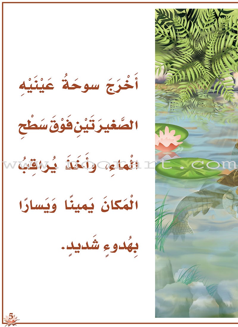 Reading Program in the Arabic Language: Level 3 (Set of 12 books)