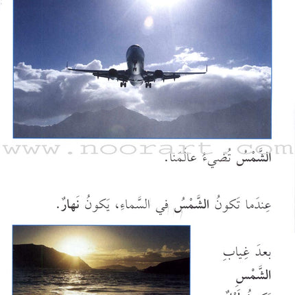 Science Basics: Level 1 (4 Books) أساسيات العلوم
