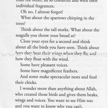 I Wonder About Allah: Book One