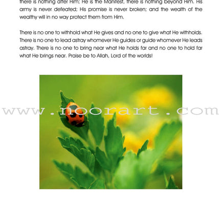 Islamic Studies: Grade 7
