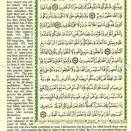 Tajweed Qur'an (Whole Qur'an, With Meaning Translation in English) (Colors May Vary) مصحف التجويد