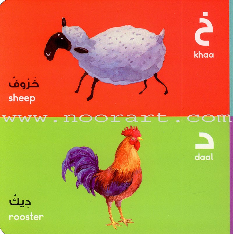 Arabic Alphabet Board Book