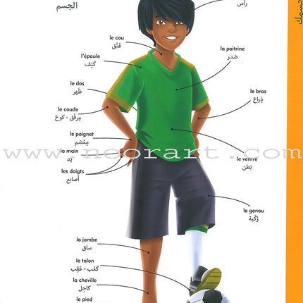 Oxford Children's Visual Dictionary French - Arabic قاموس اكسفورد البصري للاطفال