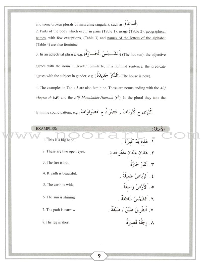 Second Steps in Arabic Grammar