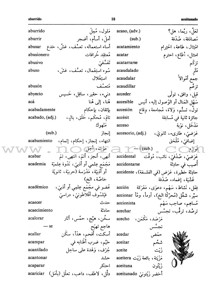 Diccionario De Estudiantes (Student Dictionary) Arabic-Spanish Spanish-Arabic