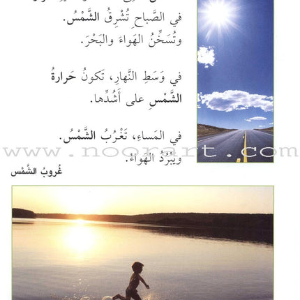 Science Basics: Level 2 (3 Books) أساسيات العلوم
