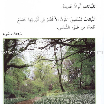 Science Basics: Level 2 (3 Books) أساسيات العلوم