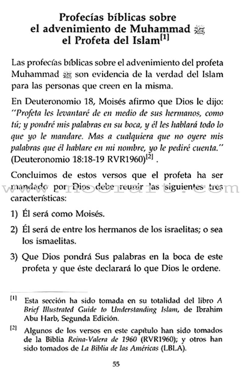 Introducción al Islam - Introduction to Islam (Spanish)