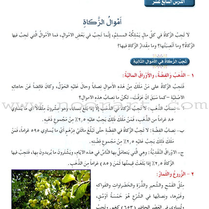 Islamic Knowledge Series - Worship Perception: Book 12 سلسلة العلوم الإسلامية فقه العبادات