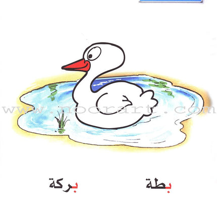 Learn the Arabic Language: Level 1