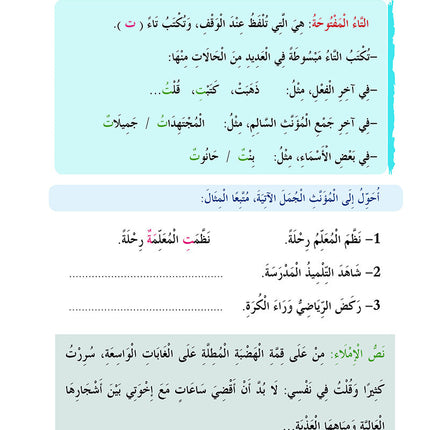 In the Arabic Language Garden Simplified Grammar: Level 5 في حديقة اللغة العربية كتاب القواعد المبسطة