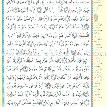 Tajweed Qur'an (Juz' Tabarak and Amma, Obvious Edition) مصحف التجويد
