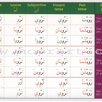 Gateway to Arabic Verb Conjugation Flashcards - Set One: Form One Verbs (50 Double-Sided Cards)