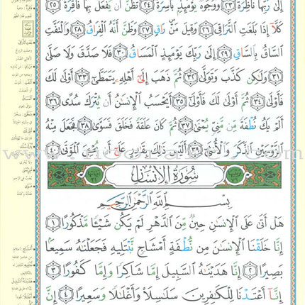Tajweed Qur'an (Juz' Tabarak and Amma, Obvious Edition) مصحف التجويد
