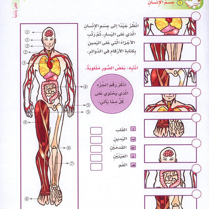 ICO Learn Arabic Textbook: Level 6 (Combined Edition, with Access Code) تعلم العربية  - مدمج