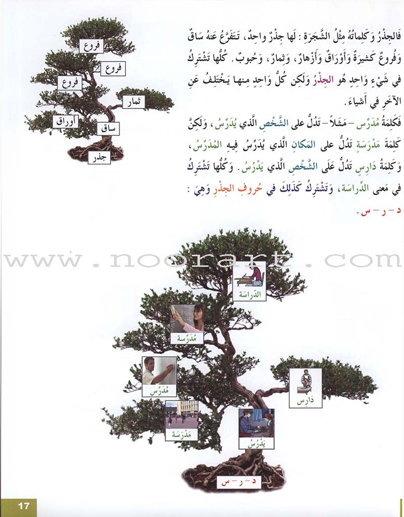 Arabic for Youth Textbook: Level 3 العربية للشباب كتاب التلميذ