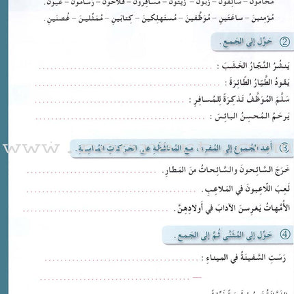 Arabic for Youth Workbook: Level 4 العربية للشباب كراس التمارين