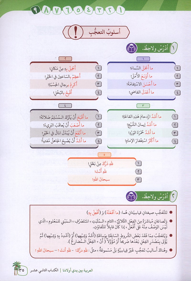 Arabic in Our Children's Hands Textbook: Level 12 العربية بين يدي أولادنا